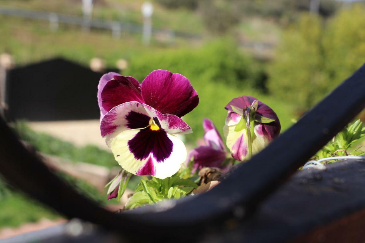 El Balcon Del Hueznar Διαμέρισμα Cazalla de la Sierra Εξωτερικό φωτογραφία
