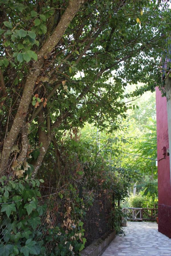 El Balcon Del Hueznar Διαμέρισμα Cazalla de la Sierra Εξωτερικό φωτογραφία